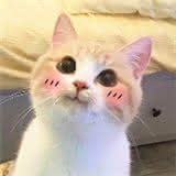 hndceg