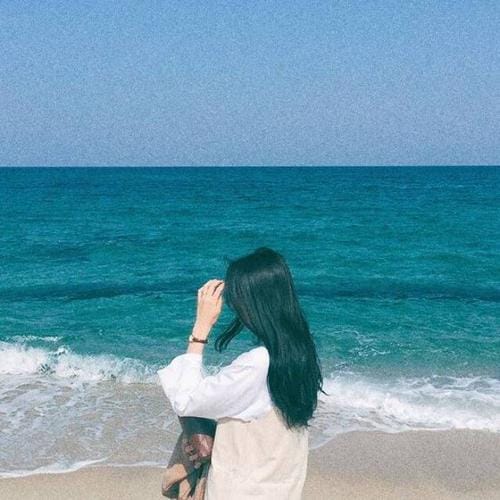 乐园遗落之花